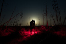 Lovers Silhouette Standing On Surreal Night Scenery