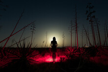 Woman Silhouette Standing On Surreal Night Scenery