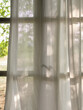 © Miquel Llonch/Stocksy - View through linen curtains and wooden window of green trees in garden