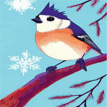 Vector Realistic Detailed Vector Illustration Of Winter Birds On Branches. Winter Design Elements For Christmas, New Year, Holidays. Sitting On A Branch. Winter Background.