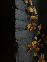Branch With Yellow Leaves On A Black Background