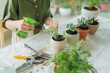 © Marc Tran/Stocksy - Young relaxed woman taking care of her plants at home, hobbies