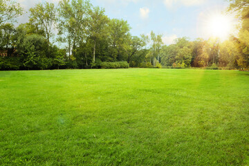 Wall Mural - beautiful view of public city park with green grass and trees