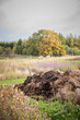 © Lior + Lone/Stocksy - Organic compost in a farmâs garden