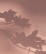 © Haus Klaus/Stocksy - Leaf shadow on pastel pink background