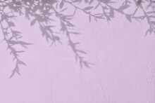 Shadow Of Leaves On Purple Concrete Wall Texture With Roughness And Irregularities. Abstract Trendy Colored Nature Concept Background. Copy Space For Text Overlay, Poster Mockup Flat Lay 