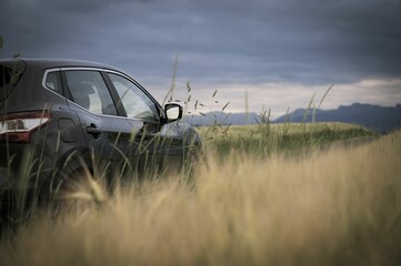 Canvas Print - Back view of a black SUV car parked in the middle of a field on a gloomy day