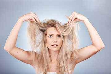 Sticker - Hair, portrait and woman in studio for hair care, problem and fail or hair loss against grey background. Confused, girl and model with split ends, dry and tangle, damaged hair and frizz with mockup