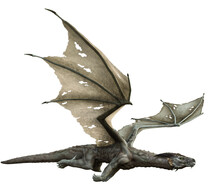 Gray Dragon 3d Render