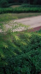 Poster - Vertical footage of a thin branch covered with leaves against blurred background