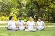 © GAJENDRRA BHATI  - Group of indian senior people wearing white cloths relaxing and laughing together outdoor at summer park. healthy lifestyle, Retirement life.