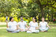 © GAJENDRRA BHATI  - Group of indian senior people wearing white cloths relaxing and laughing together outdoor at summer park. healthy lifestyle, Retirement life.