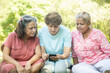 © GAJENDRRA BHATI  - Happy Indian senior women using mobile phone and spend time together outdoor at summer park.