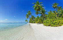 Beach With Palm Trees And Crystal Clear Water. Idyllic Tropical Island In Summer.