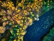 Aerial shot of a river in a forest covered in yellowing trees in autumn