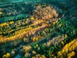 Aerial shot of a river in a forest covered in yellowing trees