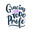 Gracias por todo profe, lettering en español, lettering Caligrafía, alumnos, día de los profesores, aprender, aprendizaje, enseñanza, maestro