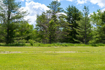 Vacant land with an old road through grass on a cloudy day.