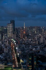 Wall Mural - Aerial view of Tokyo during night