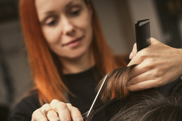 Hairstylist does cutting hair tips of a female customer in a beauty salon. Womens fashion and style. Hair care, beauty industry concept. Hairdresser doing haircut closeup of work