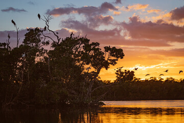 Wall Mural - sunset over the river