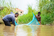 image of african people holding a net in a river- excited black guys fishing in a stream- fishing concept