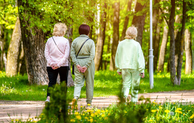 Wall Mural - Three girlfriends walk along a path in the Park
