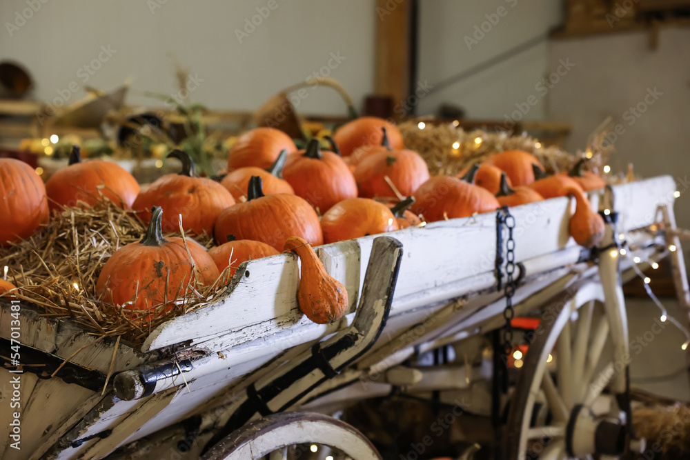 Old trolley with fresh pumpkins and glowing lights in barn