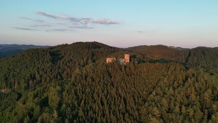 Wall Mural - Aerial view of the Prandegg Castle and forest landscape in Austria