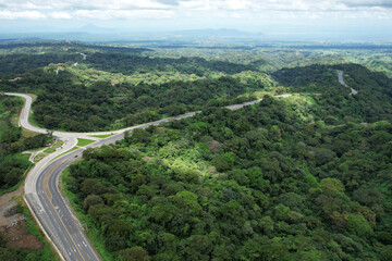 Sticker - Highway road on green jungle background