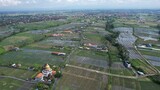 Fototapeta Do pokoju - Bali, Indonesia - November 10, 2022: The Pererenan Paddy Rice Fields Of Bali, Indonesia