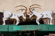 Poznań Old Town Hall mechanical goats