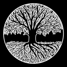 Vector Tree Without Leaves. A Tree Without Leaves Inscribed In A Circle.