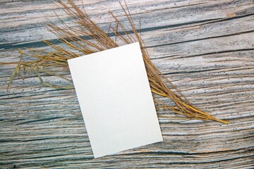 Top view of a blank sheet of paper with copy space and dried plants on a wooden surface