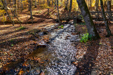 Autumn Landscape With Yellowed Leaves In The Forest, Wooden Bridge And Stream Flowing With Sparkling Water