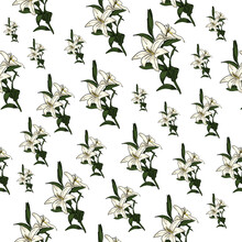 Seamless Pattern Drawn White Lily Flowers With Green Leaves. Cartoon Sketch On A White Background