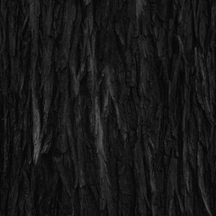 Poster - Closeup of a tree bark texture