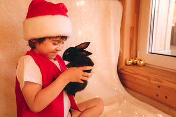 child in santa claus costume is holding little black rabbit on hands. boy love domestic animals. zoo