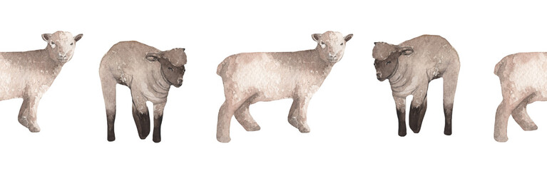 Wall Mural - Sheep border.Farm.Watercolor border on white background.Natural hand drawn border element