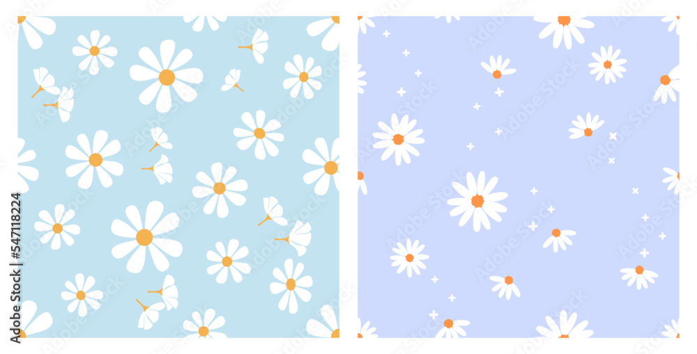 Seamless pattern with daisy flower on blue and purple backgrounds ...