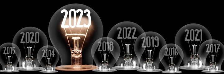 Wall Mural - Light Bulbs with New Year 2023