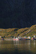 Felswand und Fischerboote in Reine auf den Lofoten