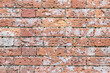 Brick Wall Copy Space
