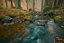 Small Stream Flowing Through The Autumn Forest - Long Exposure Time - Hutsky (Huťský) Potok, Pivonicke Skaly, Novohradske (hory) Mountains, Šumava, Czechia