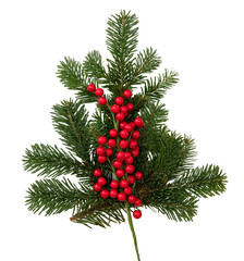 christmas tree isolated transparent background, png. fir twig and red winter berries decoration.