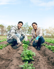Wall Mural - Agriculture, soil and farming couple gardening plants or vegetables growth on an agro, eco friendly land for green supplier market. Countryside, sustainable and farmer people portrait with fertilizer