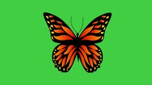 Butterfly On A Green Screen
