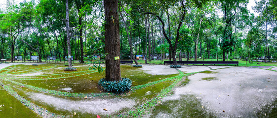 Wall Mural - CHIANG MAI, THAILAND - November 18, 2022 : Panorama of Huay Kaew Urban Forest in Chiang Mai Province