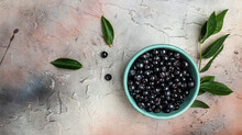 Superfood MAQUI BERRY. Superfoods Antioxidant Of Indian Mapuche, Chile. Bowl Of Fresh Maqui Berry And Maqui Berry Tree Branch, Long Banner Format. Top View