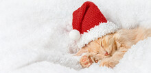 A Red Kitten Is Sleeping Sweetly On A White Plush Blanket With A Santa Hat On Its Head
